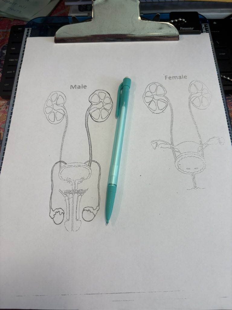 divatura's tweet image. Things I do at work 🤣 #pediatricurology
