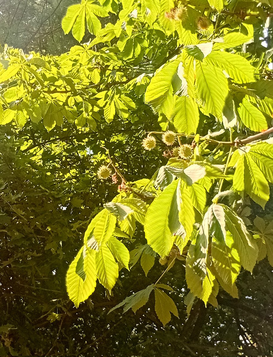 Катерина Галич tweet media