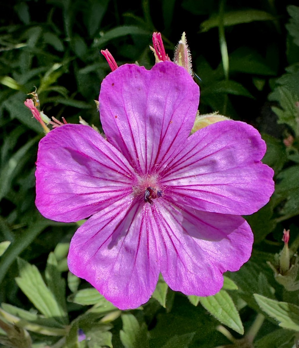 D Miller tweet media