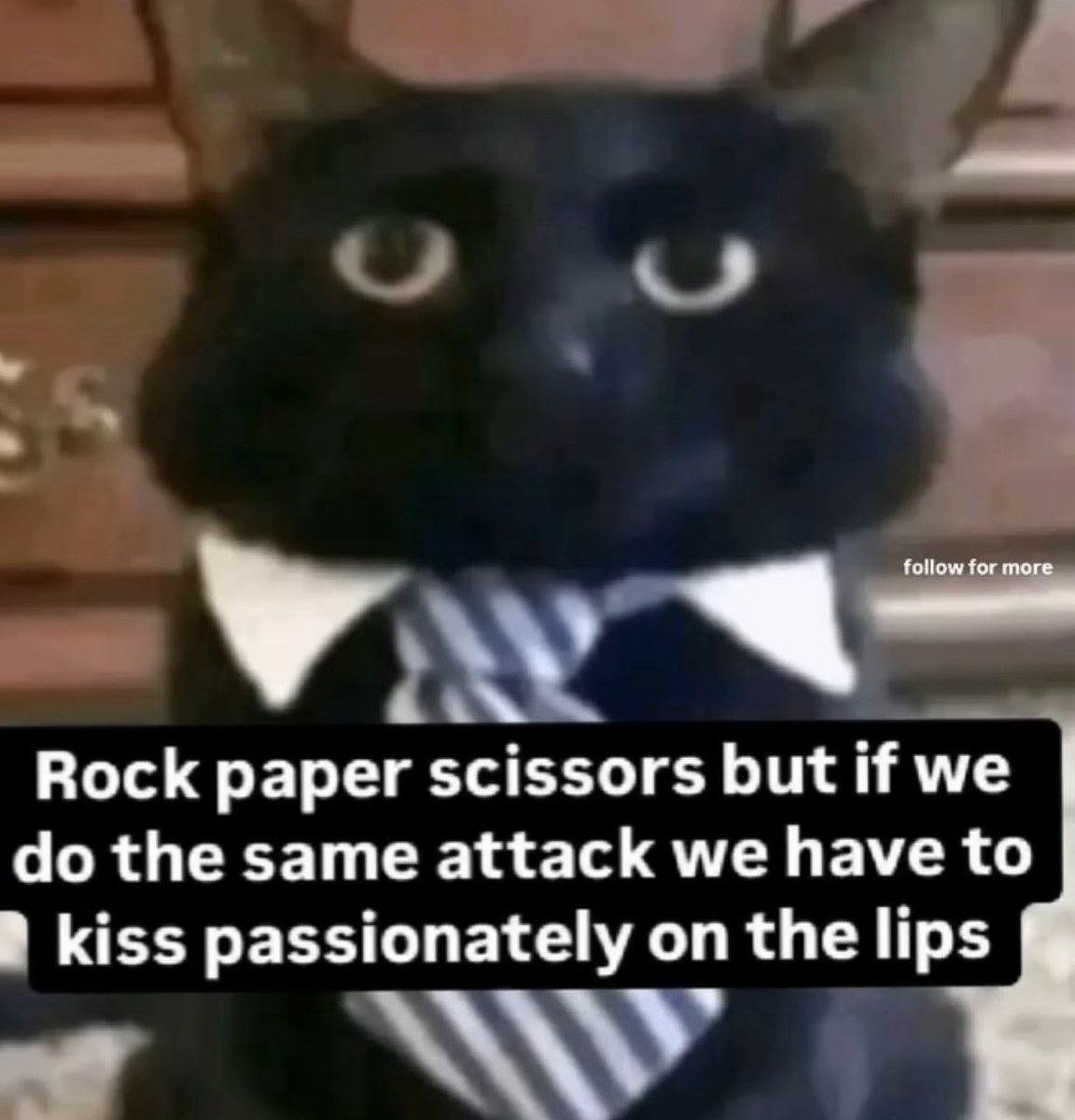 literallymecats's tweet image. 