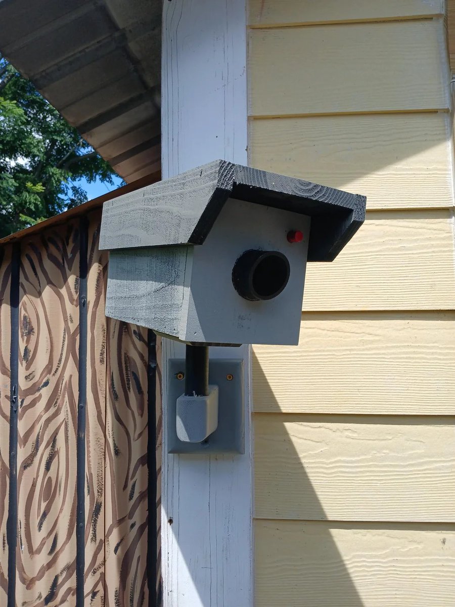 RightOnRicky_'s tweet image. hey @ripcache - this guy in new orleans makes a birdhouse you might like:
tinyurl.com/9h45rs95