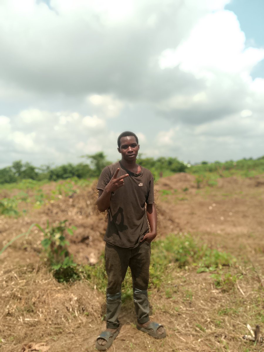 Emmanue93934749's tweet image. Earlier today, I was at obiaruku for the setting up of cassava and zobo farm on 2 acres of land. The work was tedious, but having solidified work enforcers made the activities successful. People like Nonso, and Don IB.Remember no farmers no food.
#farmer #cassava #organic #youth