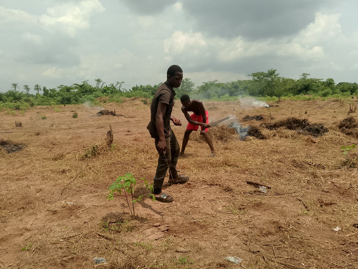 Emmanue93934749's tweet image. Earlier today, I was at obiaruku for the setting up of cassava and zobo farm on 2 acres of land. The work was tedious, but having solidified work enforcers made the activities successful. People like Nonso, and Don IB.Remember no farmers no food.
#farmer #cassava #organic #youth