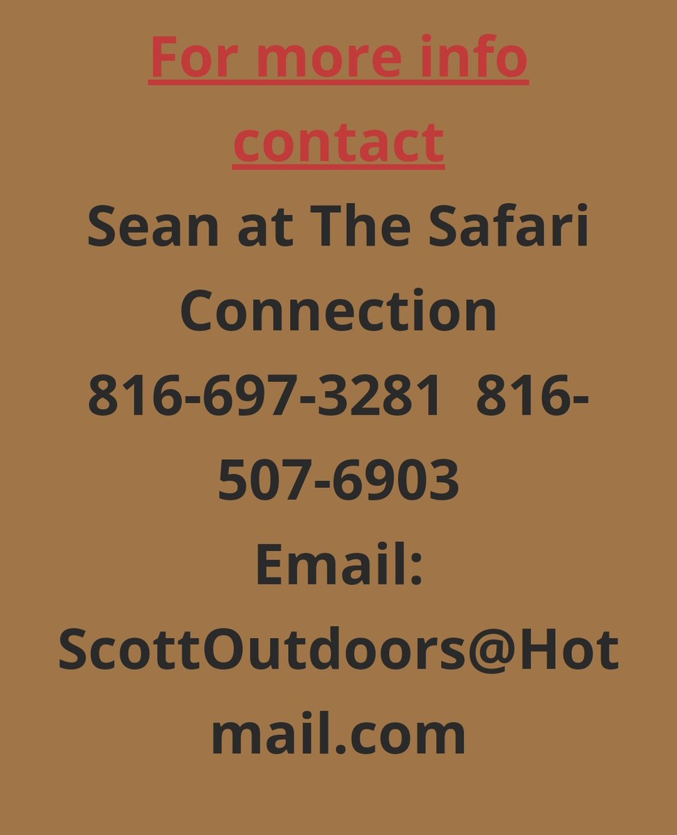 LION LOVERS tweet media