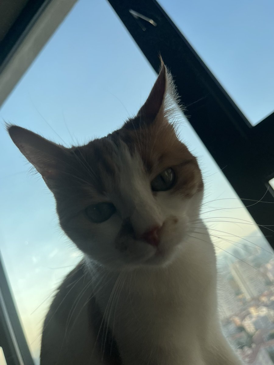 evin de a*ına koymazsam