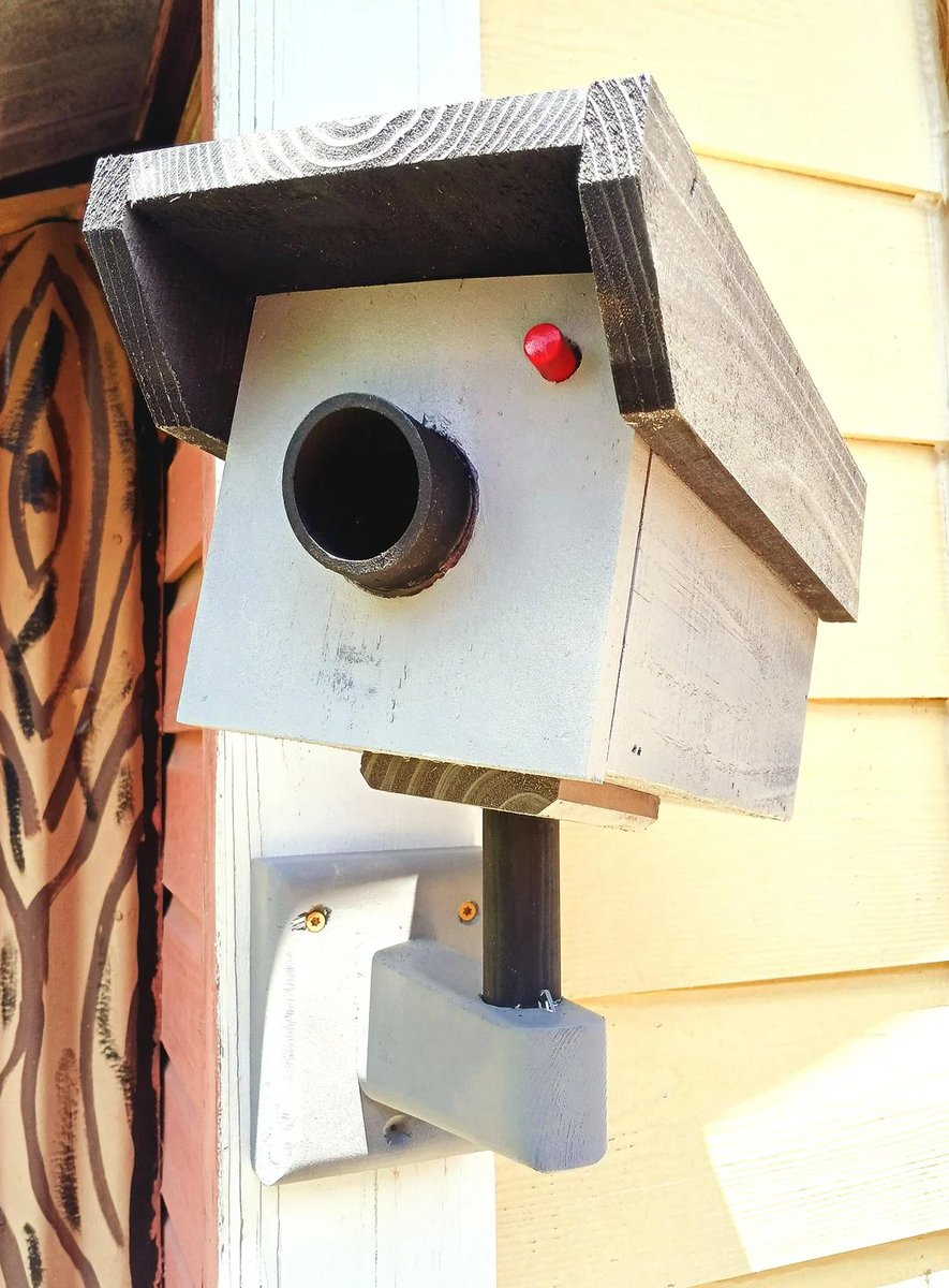 RightOnRicky_'s tweet image. hey @ripcache - this guy in new orleans makes a birdhouse you might like:
tinyurl.com/9h45rs95