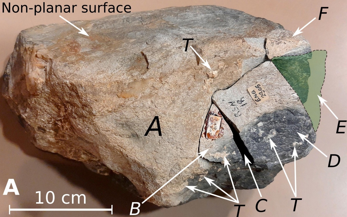 This unsuspecting chunk of rock collected at Stonehenge in 1924 is the centre of a controversy. Or maybe not. More: 1/ 🧵
