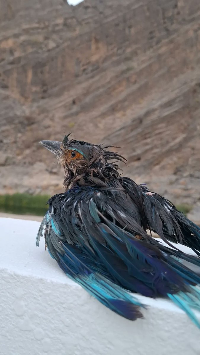 مساء الخير ..
لا تعاتبوا احد ابدا ، امشو على مبدأ :
" لو اني عالخاطر ماهنت ".🦋♥️
