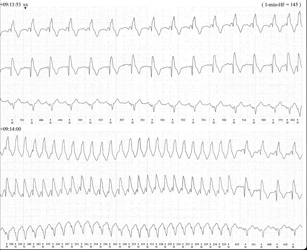 Dr. Andreas Roeschl tweet media