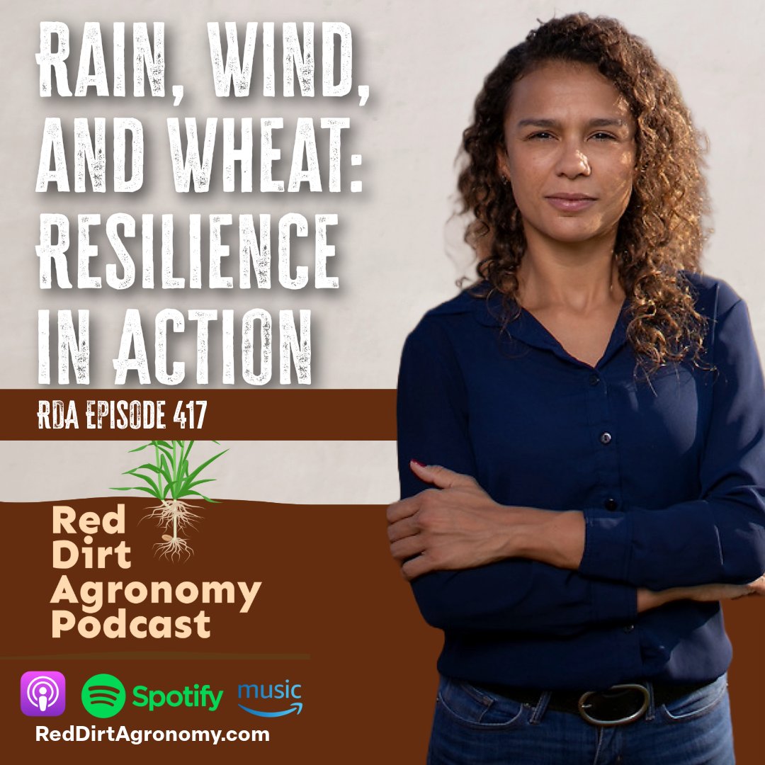 RedDirtAg's tweet image. 🌾 #Wheat farmers—this one’s for you! 
From floods to windstorms, this year’s crop had a wild ride. 
Hear how it all shook out with @OSU_smallgrains, you might be surprised at the results!
Listen now: 🎧👉 apple.co/44Q46Bm
RedDirtAgronomy.com
#OklahomaWheat #AgPodcast