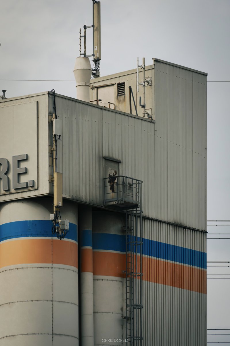 cdoretz's tweet image. Chemical plant #photography #photooftheday #industrial #industry