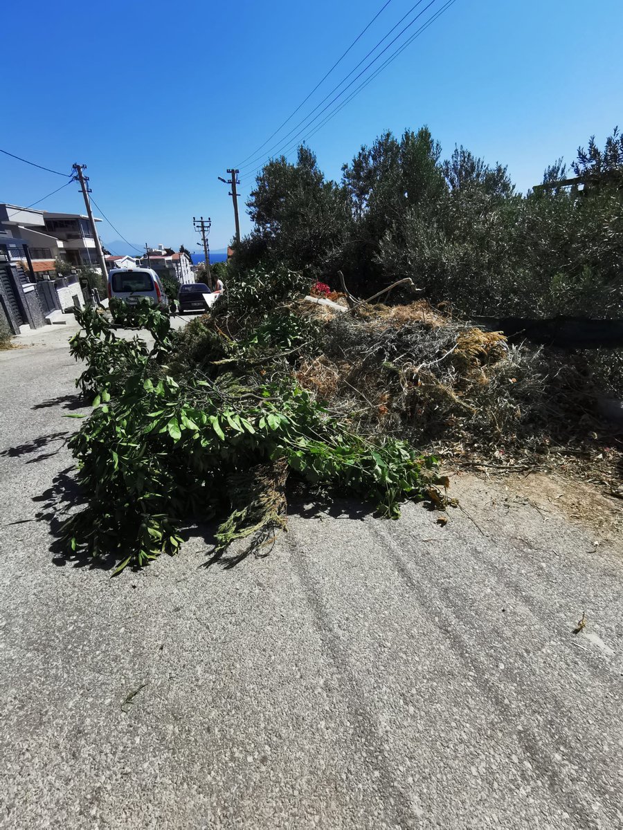 Fotograflarda goruldugu uzere ozderede atilan cop ve agac dallarindan yol tikanmak uzeredir. 2 hafta once yetkililere  durum iletilmis ancak aksiyon alinmamistir konunun acil olarak duzeltilmesini rica ederim #izmirmenderesbelediyesi #özdere #özderebelediyesi 
Çukuraltı, 2290 sk