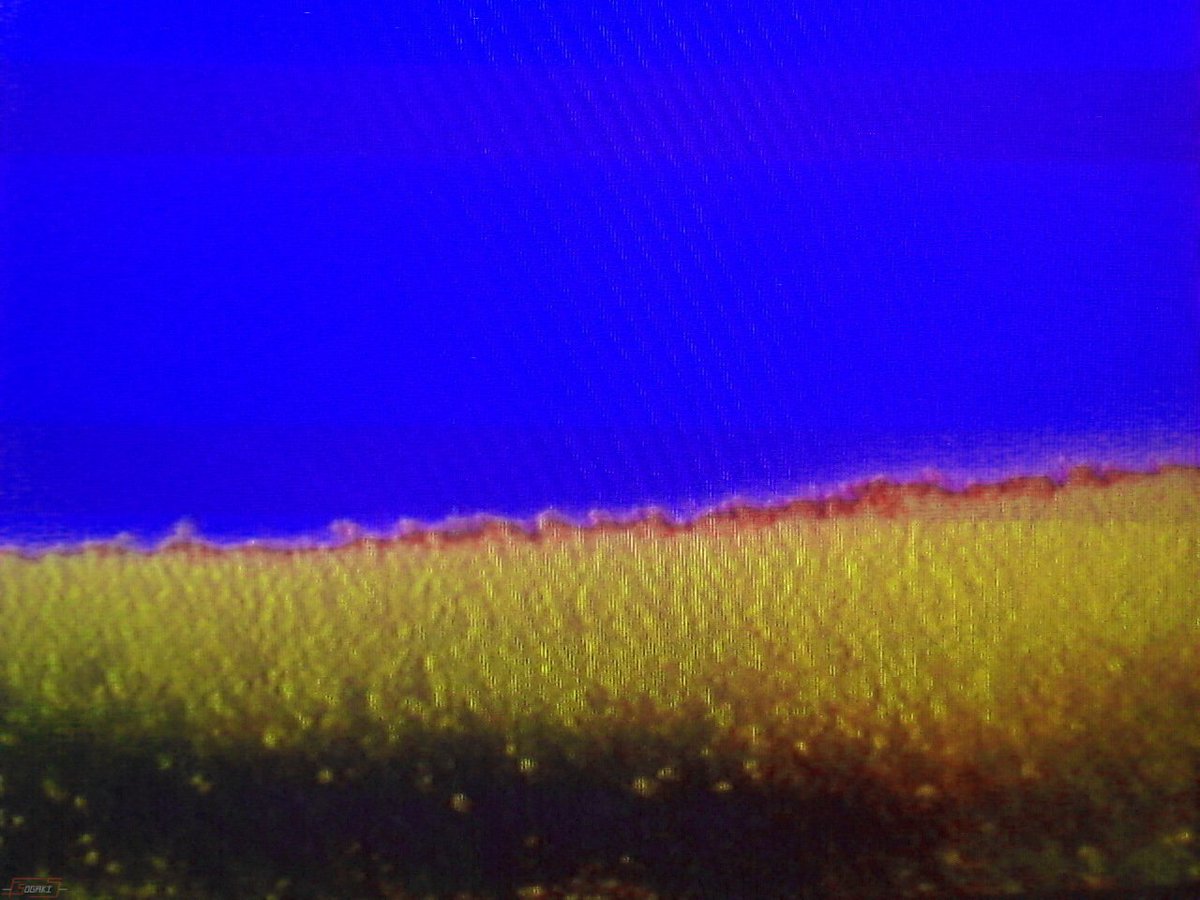 Sogaki (@sogaki_) on Twitter photo 