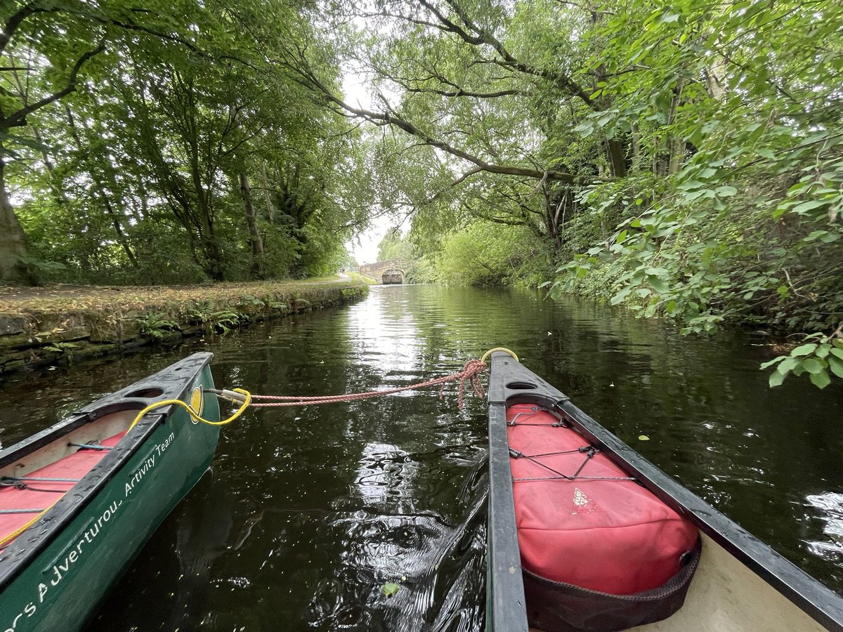 W82Matt's tweet image. Nice dragonfly exuviae this afternoon whilst canoeing with a group in Huddersfield Broad Canal. @BNAscience