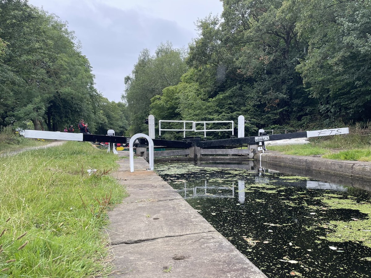 W82Matt's tweet image. Nice dragonfly exuviae this afternoon whilst canoeing with a group in Huddersfield Broad Canal. @BNAscience