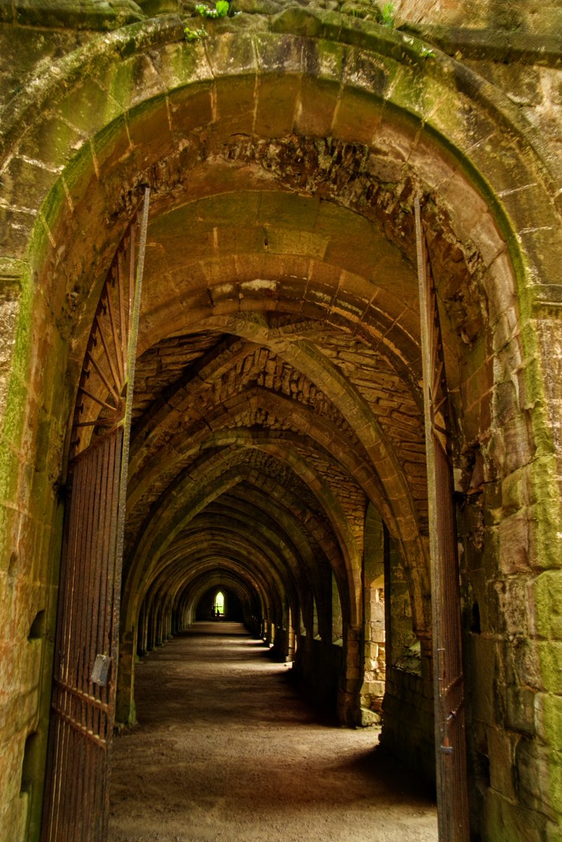 michaelgoslin19's tweet image. Last I promise of fountains Abbey well till next visit
#pentaxcamera#thephotohour