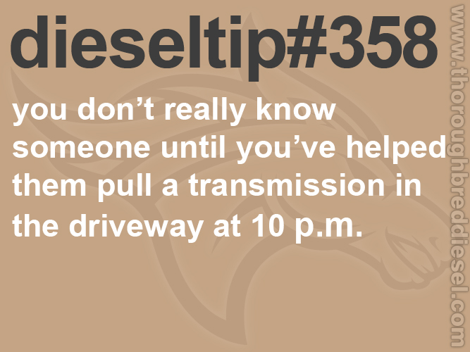 Thoroughbred Diesel tweet media