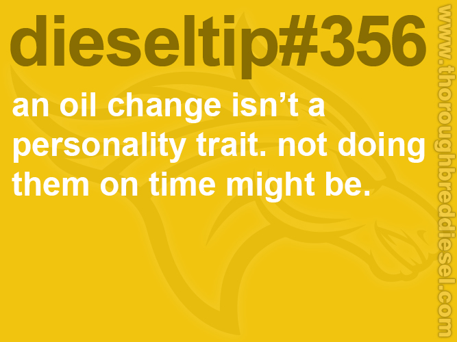 Thoroughbred Diesel tweet media