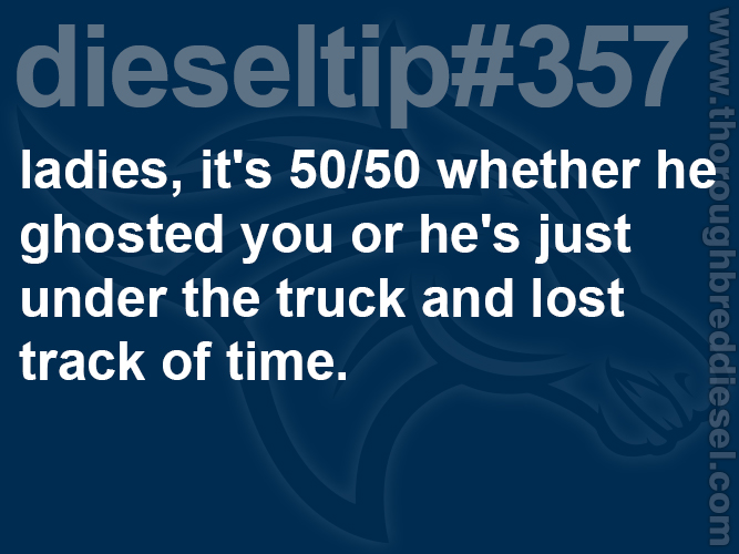 Thoroughbred Diesel tweet media