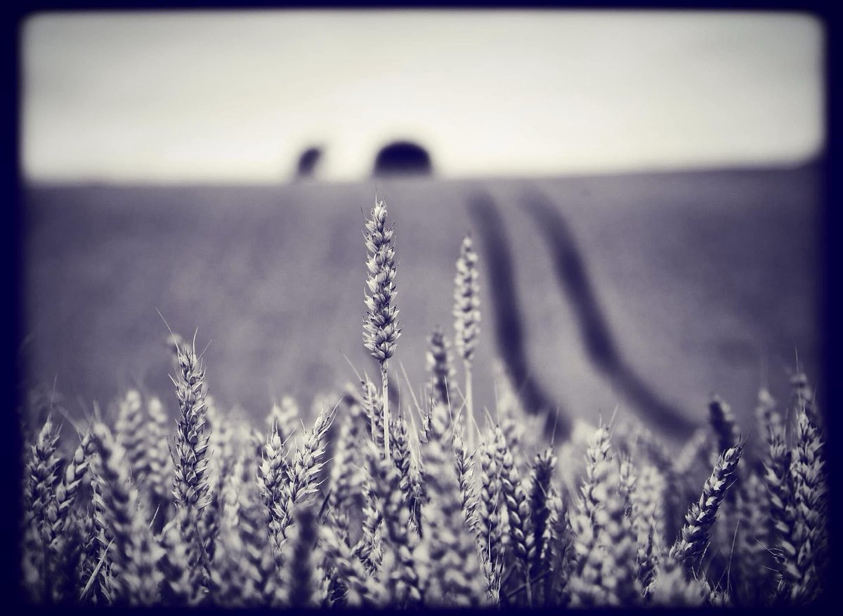 ChrissyvWellean's tweet image. ๐ค๐คโฆ summertime โฆ๐ค๐ค