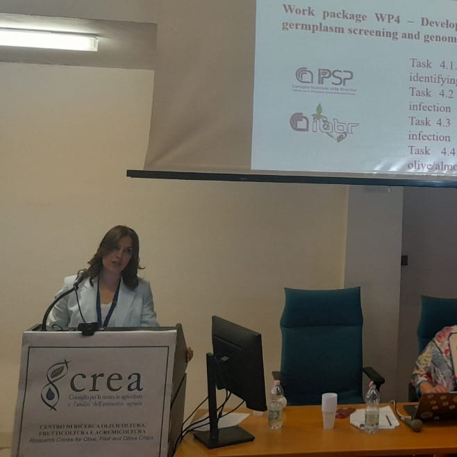 BexylP's tweet image. Last month, #BeXylProject was presented at an important IOC workshop focusing on olive genetic resources and climate change adaptation! 🌳🔬

From June 22-25, we were invited by IOC and CIHEM Zaragoza to CREA Rende, where Soraya Mousavi (CNR-IBBR, Scientific Responsible for…