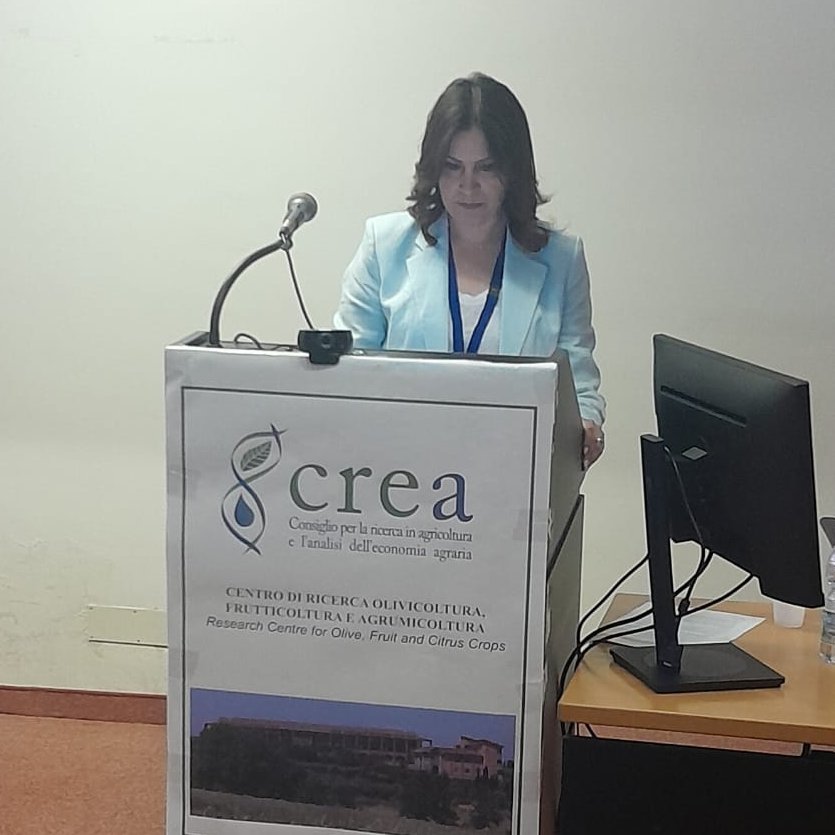 BexylP's tweet image. Last month, #BeXylProject was presented at an important IOC workshop focusing on olive genetic resources and climate change adaptation! 🌳🔬

From June 22-25, we were invited by IOC and CIHEM Zaragoza to CREA Rende, where Soraya Mousavi (CNR-IBBR, Scientific Responsible for…