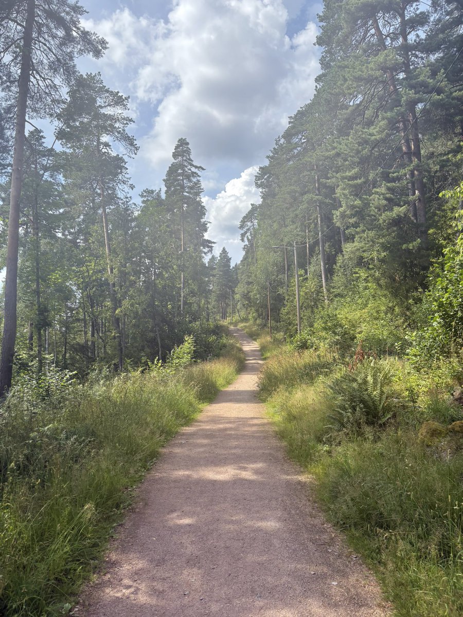 gortgurl's tweet image. yayaya I love radiohead I love thom I love fantasy fiction and I love hiking and swimming perfect day