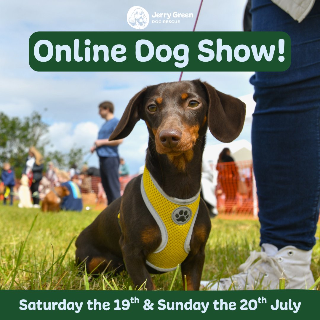 Just 5 days to go until our Online Dog Show opens. ⭐

How to enter:
- Visit our website via the link shared on our socials
- Fill in the simple entry form and upload your photo(s)
- Donate just £3 per entry

Don’t miss out, entries open this Saturday at 9am! 🐶