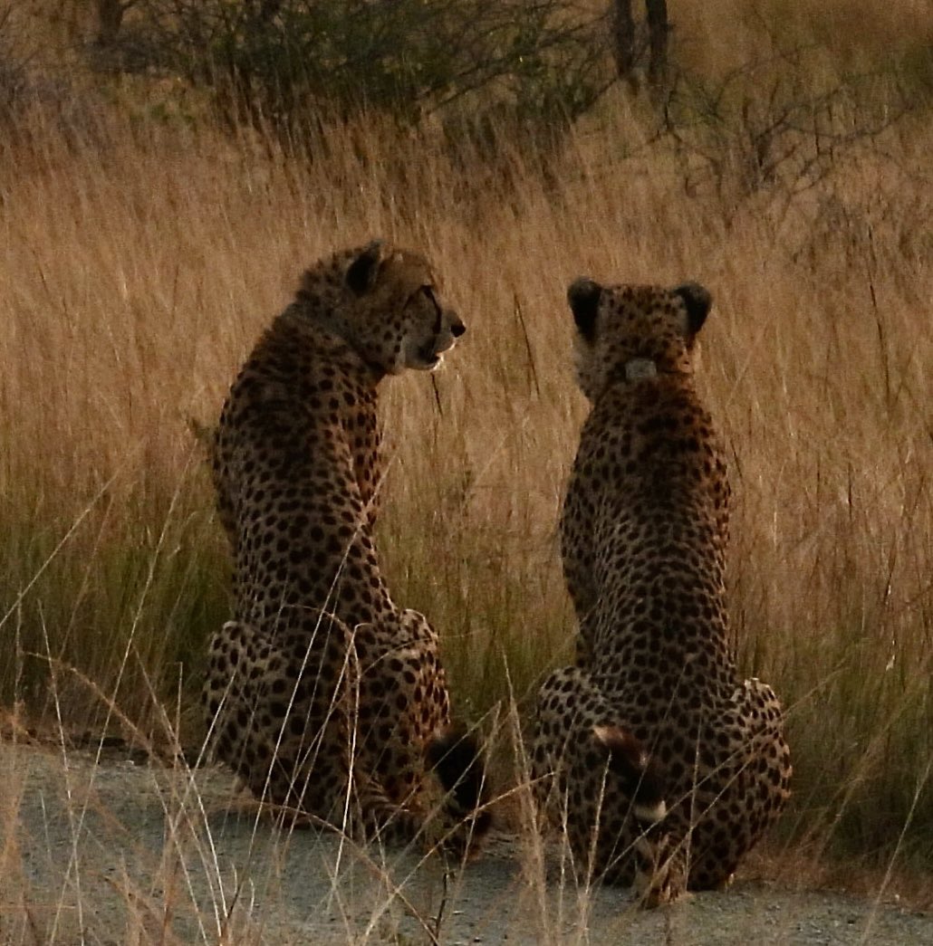 Brother’s love  ❤️