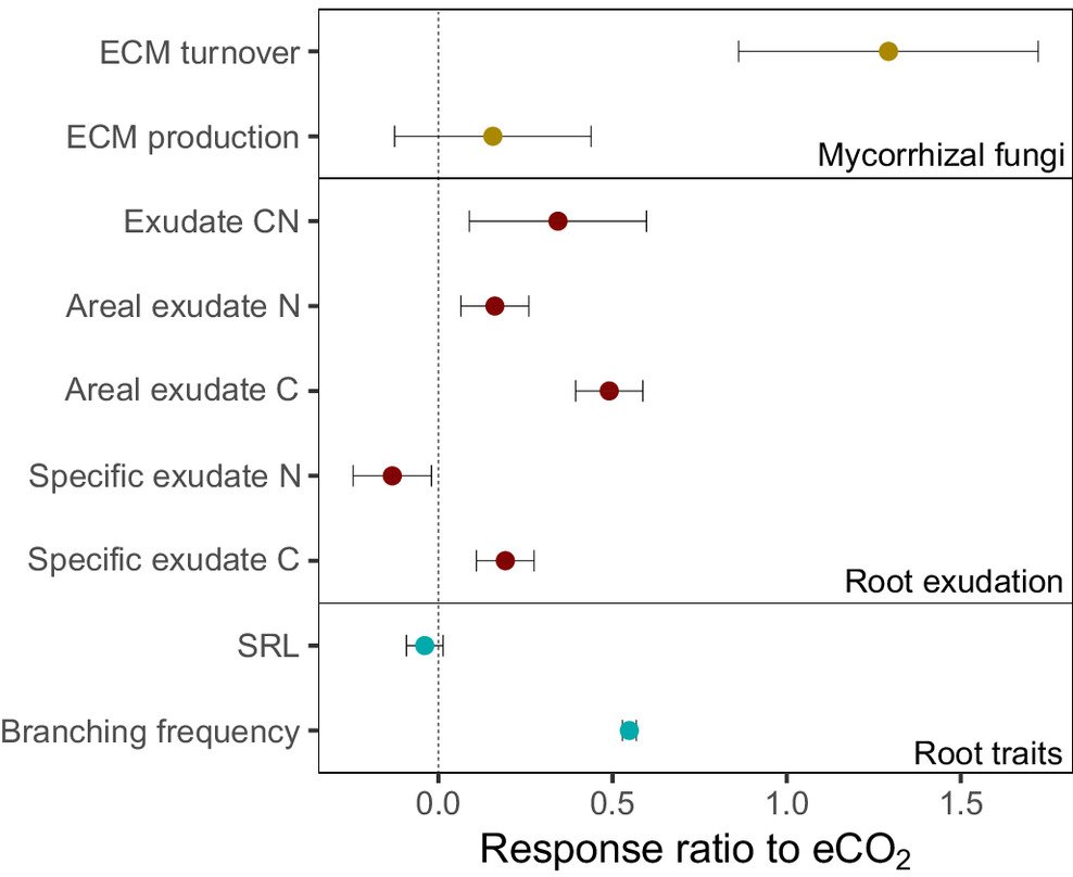 Prof. Sami Ullah tweet media