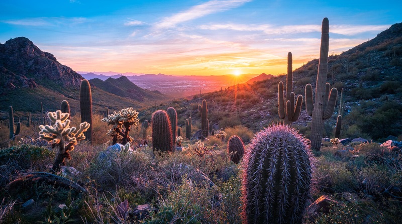 Innovations in Gastroenterology and Hepatology 2026: AI &amp; Beyond will highlight promising developments ranging from endoscopy techniques to AI tools for diagnosis &amp; management of GI and hepatobiliary diseases. Jan. 16-17 in Arizona &amp; via livestream. mayocl.in/4eOfbqZ