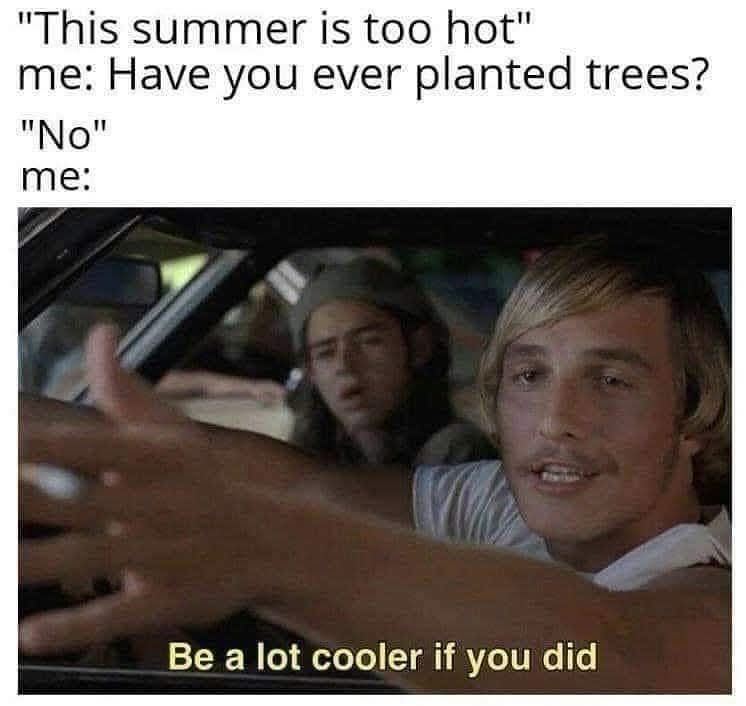 copperkettlefrm's tweet photo. Tree are life <3 https://t.co/pEHc4n7vSN