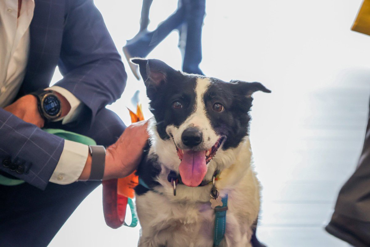 En mi carácter de #Vicepresidente de la #MesaDirectiva de la Legislatura del Estado de Querétaro, acompañé al #SecretarioDesarrolloSustentable, Marco del Prete y al #SecretarioDeGobierno, Eric Gudiño Torres, durante la presentación de una iniciativa en #defensa de los #animales