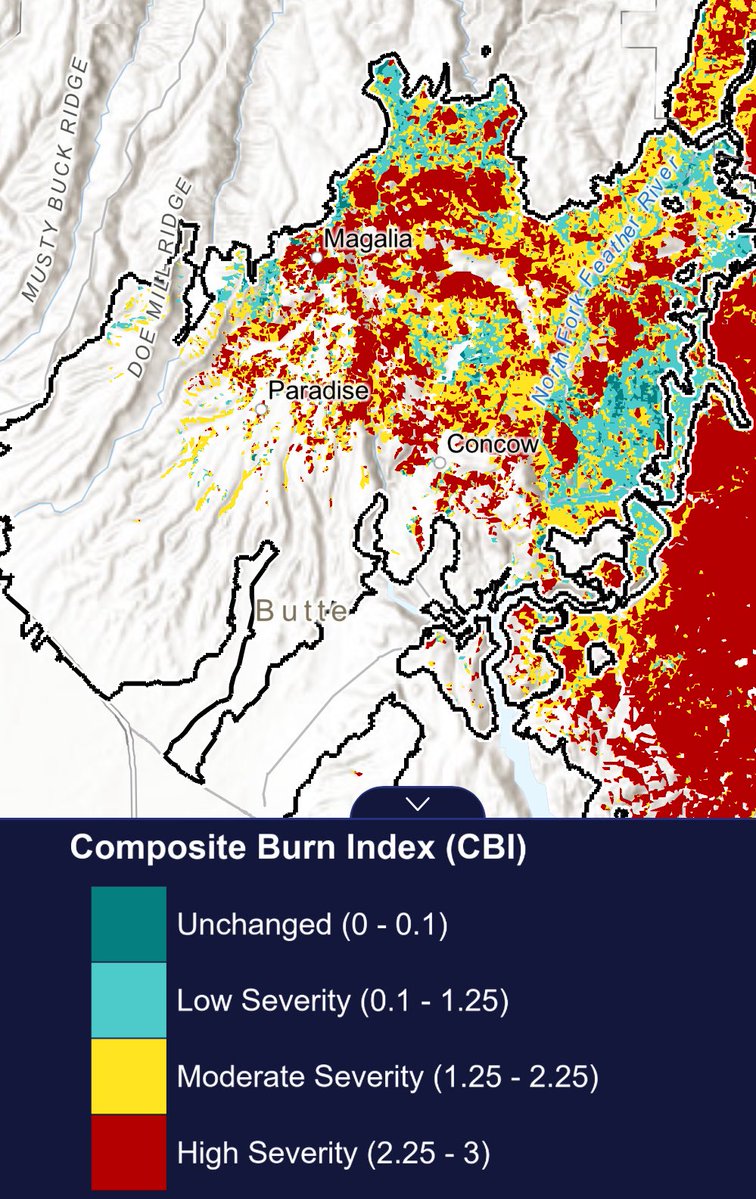 nohaggerty's tweet image. California’s state fire department just released a cool new dataset 👀 How long does it take a forest to recover after a fire? See for yourself: experience.arcgis.com/experience/aff…