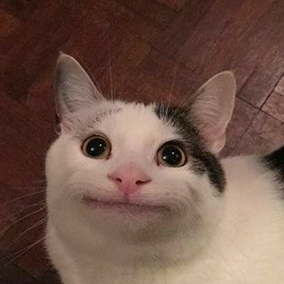 this is how every player looked during their introduction