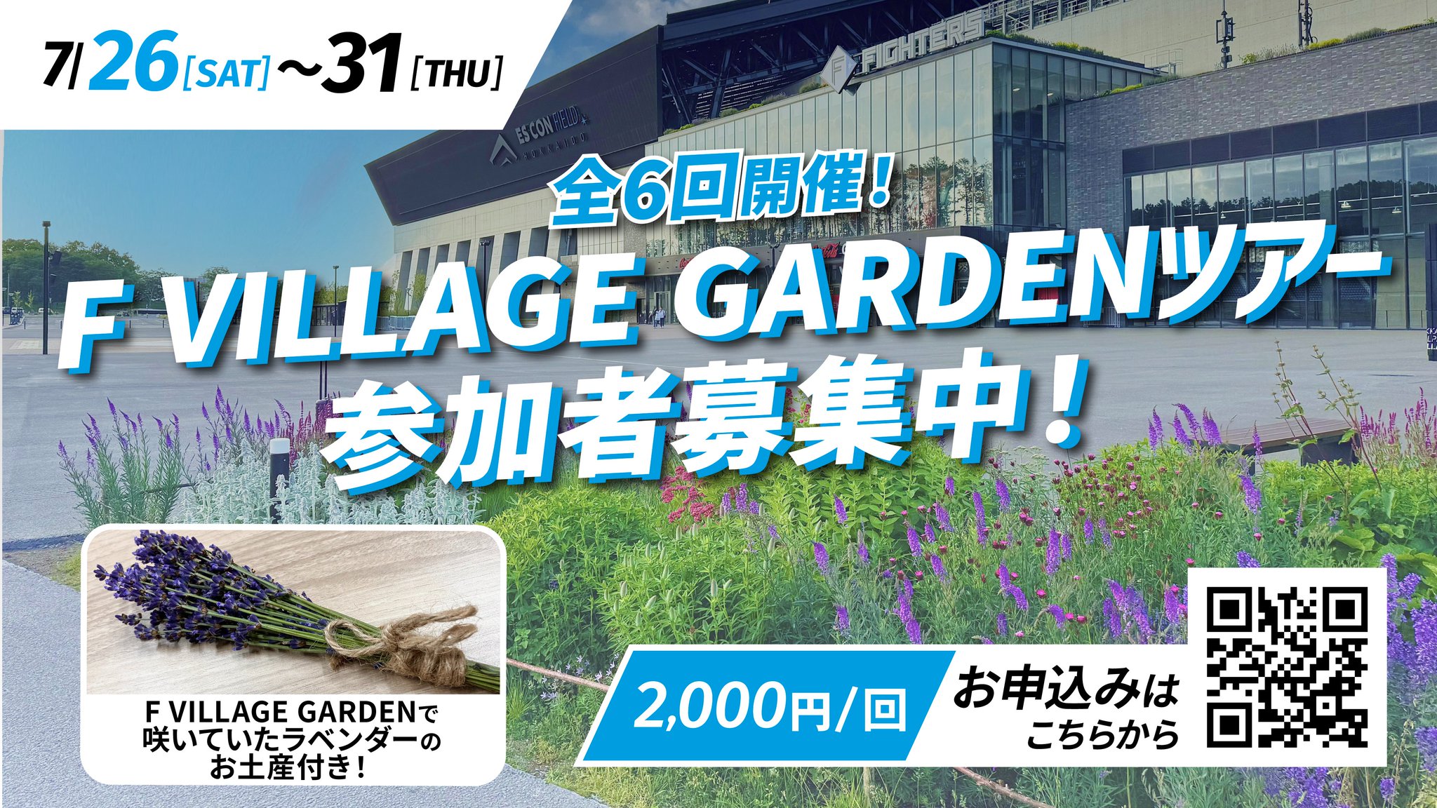 ヴァラハイの誓約 日版RF Fab JP】[守護者] ヴァラハイの威厳