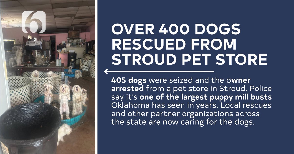 An animal facility in Stroud is closed after more than 400 dogs were removed in what police say could be the city's largest animal cruelty case.
More on the case: newson6.com/story/6876d536…