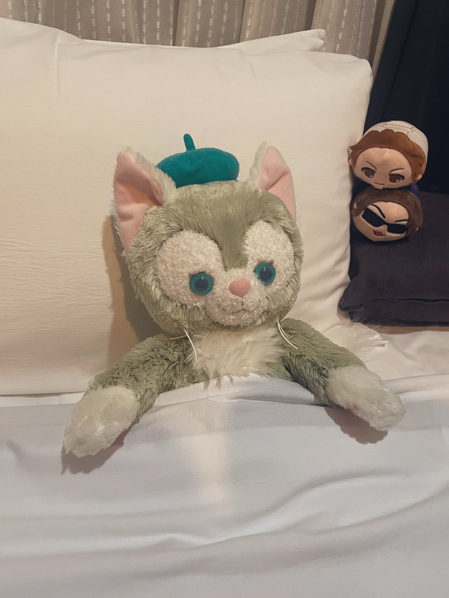 昨日はジェラトーニと一緒に寝ました
ごめんね俵ぬい、今日は一緒に寝ようね