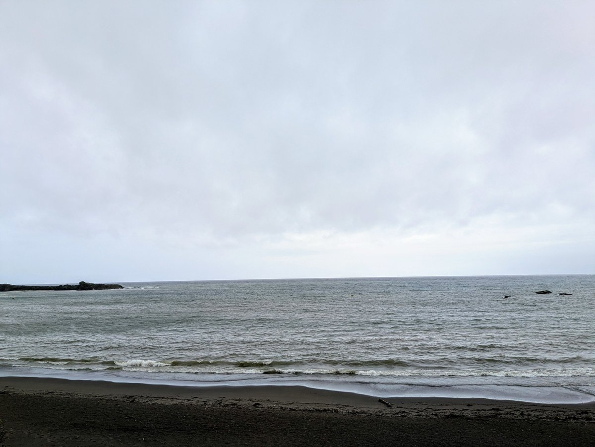 おはようございます！今日はこれから雨の降る予報。最高気温は少し低めの２７℃。現在大雨、強風、雷、波浪と注意報が出ています。その為海プログラムに変更、中止がございます。ご確認ください。
Cafeは「Umibuta Cafe」。ランチは『ガパオライス』になります🎶お待ちしております‼︎