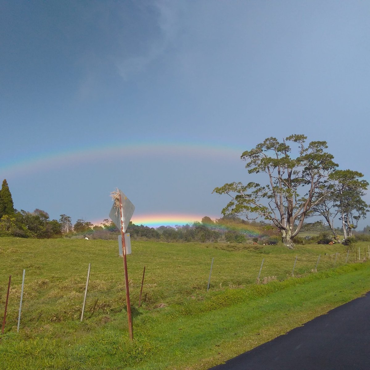 Wishing our friends everywhere a terrific day from the Big Island of Hawaii!

#hawaii #Hawaiilife #hawaiivolcanoesnationalpark #hawaiipictures #bigisland #rainbow #rainbows #beautiful #natgeo #islandlife #travel #paradise #aloha #danieljones #7thorder