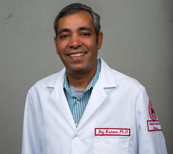 endothelialnews's tweet image. Researchers alongside Dr. Raj Kishore (@kishraj2020) identified a key role for skeletal muscle cell-small extracellular vesicles-derived miR-499-5p in the diabetes/ischemia-impaired angiogenic property of #endothelial cells.
馃挕 Learn more: bit.ly/4lyTn5o