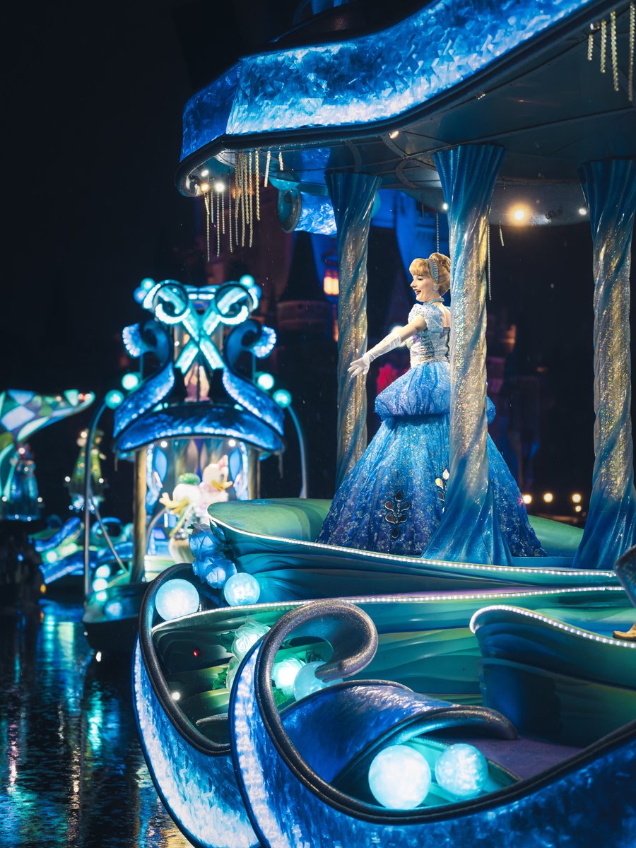 ディズニーランドの雨の日限定パレード見たことありますか？