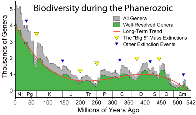 Proponents of the Sixth Mass Extinction admit it is unsupported
<a href="/Trends_Ecol_Evo/">Trends in Ecology & Evolution</a>  🌎🌐
cell.com/trends/ecology…