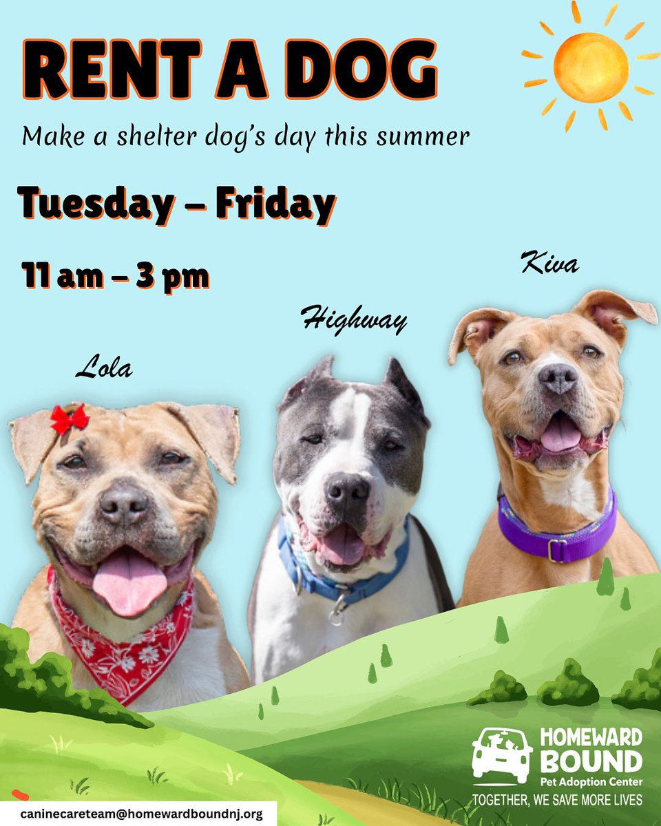 HomewardPetsNJ's tweet image. Can’t adopt or foster but want to help a shelter dog in need? Check out our Rent A Dog program.
📧 caninecareteam@homewardboundnj.org