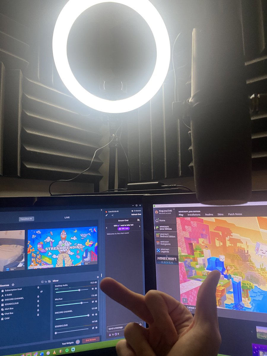 Ender Dragon today

twitch.tv/kingofthelimes