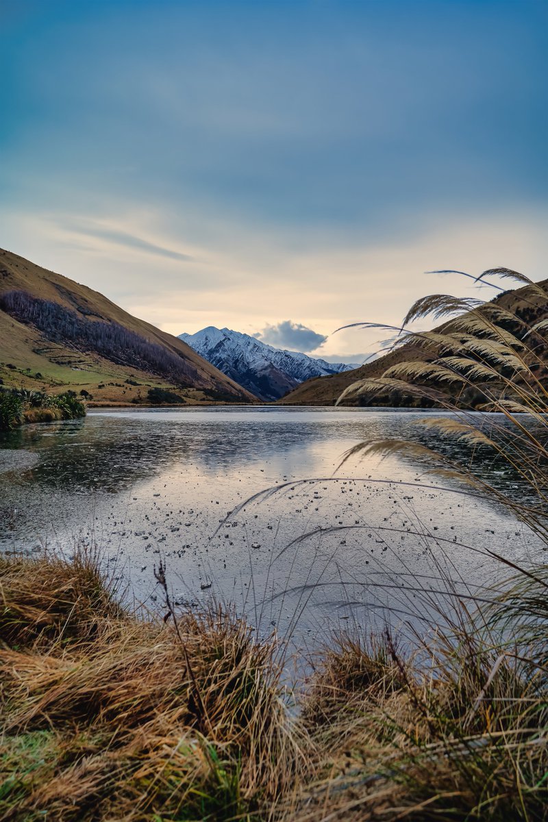 badgerdnft's tweet image. Check out my newest project, “New Zealand, Through My Eyes” which is now live on Transient Labs.
The first 2 pieces are now listed.
