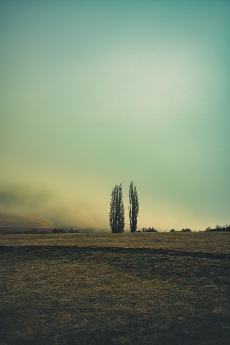 badgerdnft's tweet image. Check out my newest project, “New Zealand, Through My Eyes” which is now live on Transient Labs.
The first 2 pieces are now listed.