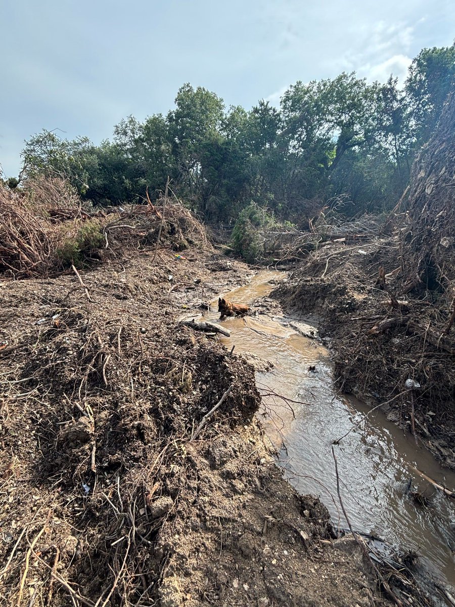 MnDPS_DPS's tweet image. Minnesota Task Force 1 is continuing its important work in Texas. Today they were reassigned to the Kerr County area. The terrain and heat, along with the threat of snakes and fire ants, have been hard on the dogs. But everyone is resting and hydrating and staying safe.