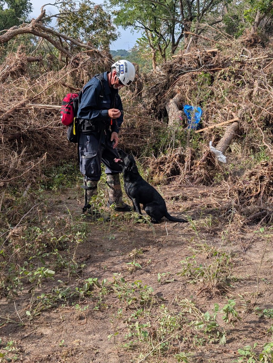MnDPS_DPS's tweet image. Minnesota Task Force 1 is continuing its important work in Texas. Today they were reassigned to the Kerr County area. The terrain and heat, along with the threat of snakes and fire ants, have been hard on the dogs. But everyone is resting and hydrating and staying safe.