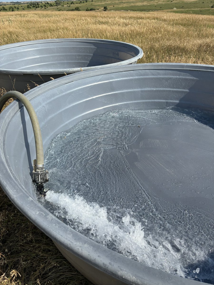 Morgan (@mopaksus) on Twitter photo 